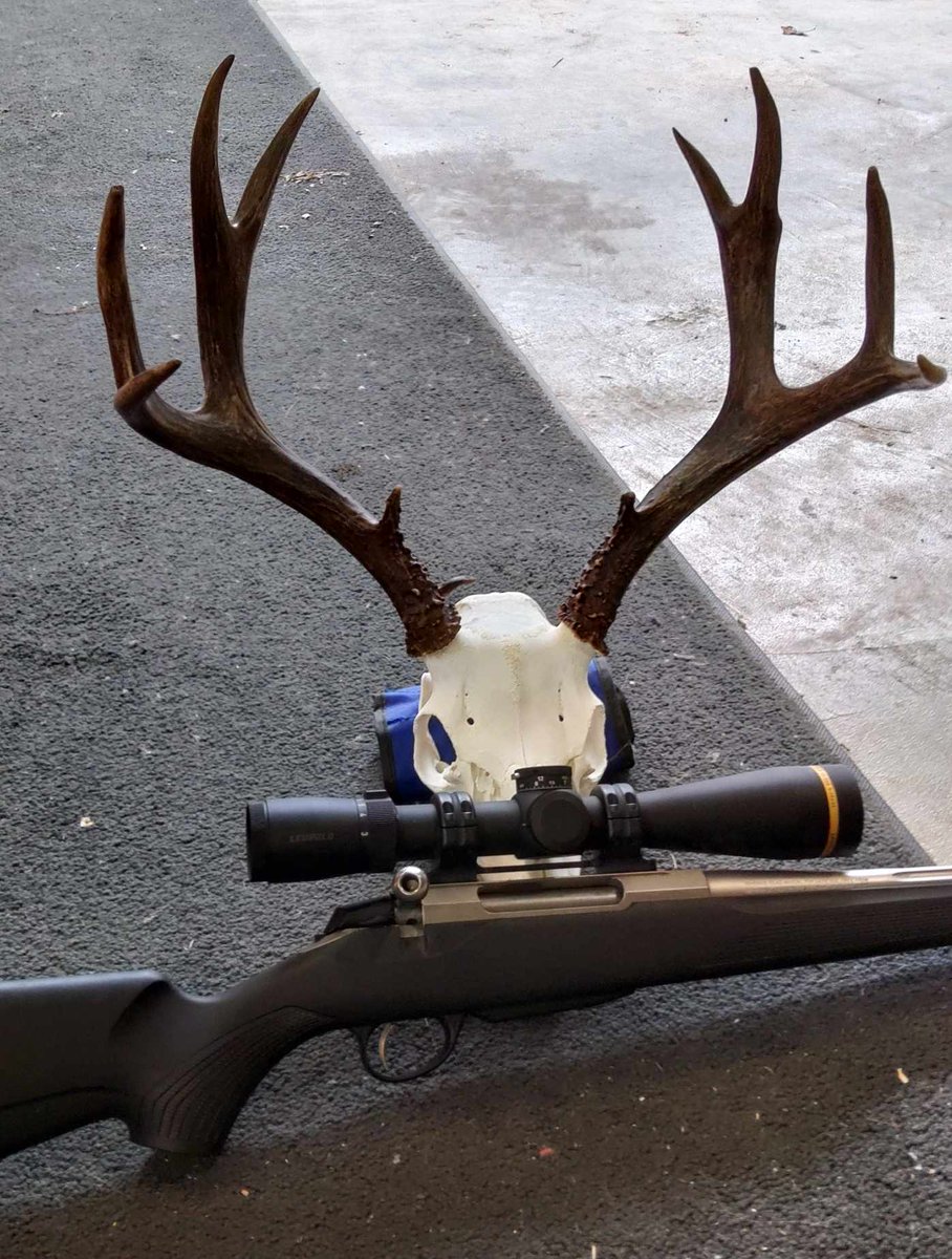 Another great submission sent in to us by Dan F.
DNZ 215 Tactical on a Tikka 300 win mag is a match made in heaven!

#dnzmounts #dnzproducts #dnz #scoperings #scopemounts #hunting #huntingrifle #scopemount #gonehunting #happyhunting #hunters