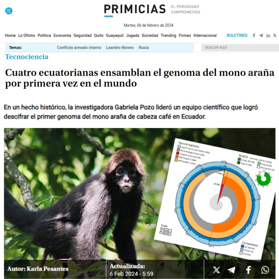 🐒Muy orgullosos por este trabajo
Lean el artículo completo aquí: t.ly/cdObC