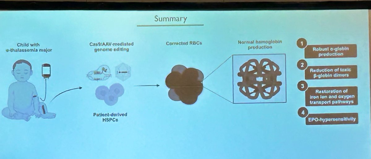 Wrapping up the day @UCSFGSResidency’s Dr. Simon Chu 🗣️ CRISPR/AAV mediated genome editing for alpha-thalassemia major (ATM) to restore normal Hgb production 🩸🔬 Encouraging results that may eventually lead to an ATM cure (!!) #ASC2024