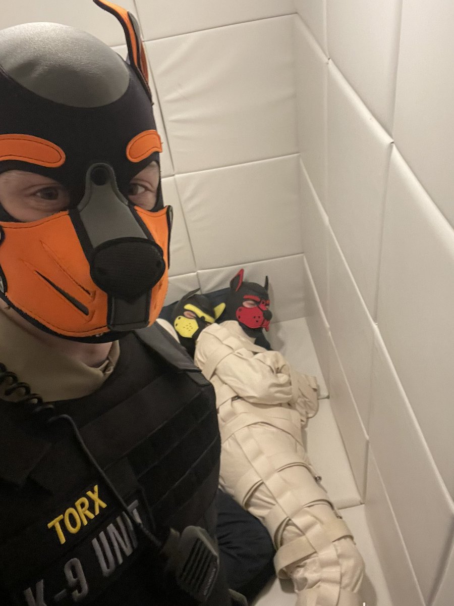 PupTorx's tweet photo. I caught @tallglassofoj and @pupthraell, and in an effort to keep them safe and secure left them like this for a while :) https://t.co/pG2qf9wdm9