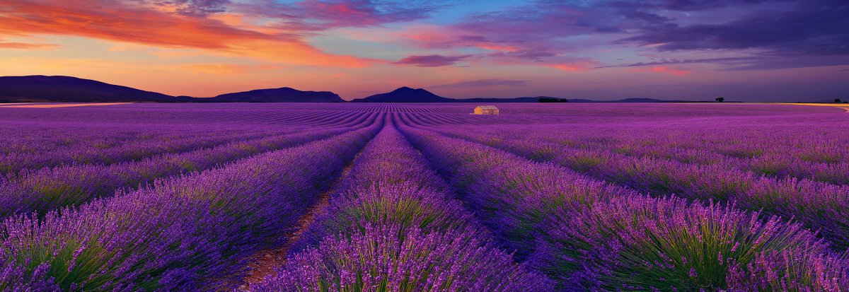 From my very first experience photographing the mesmerizing lavender fields in Tasmania, Australia, I’ve been dreaming about capturing the iconic #lavender fields of Provence, southern #France. lik.com/products/le-re…