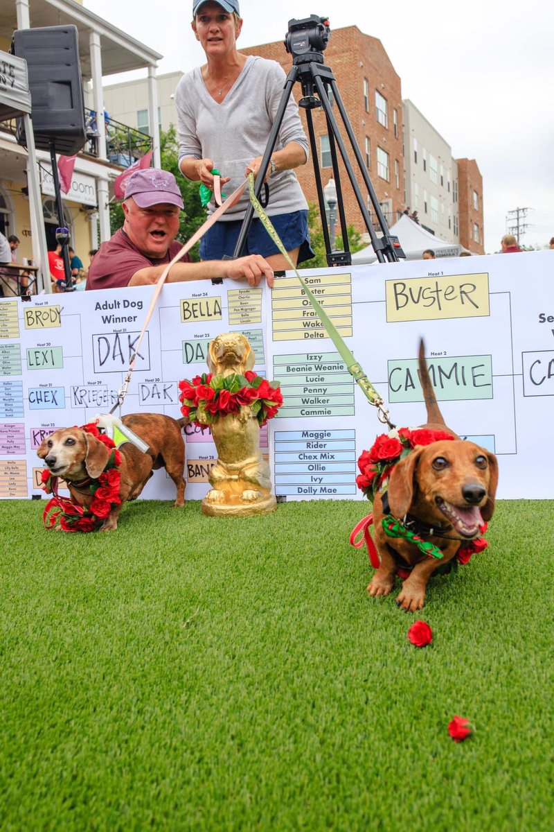 StarkvilleDerby's tweet photo. GIVEAWAY! We’ll be giving away two Wieners’ Circle VIP passes that include food, drinks (21+), and best view of the race, to a lucky person who RTs this tweet and you must be following us! Good luck! https://t.co/Tn66E7kFXh