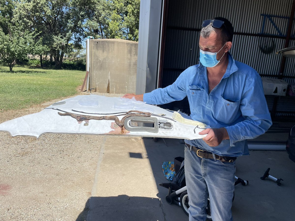 Willera Merinos tweet media