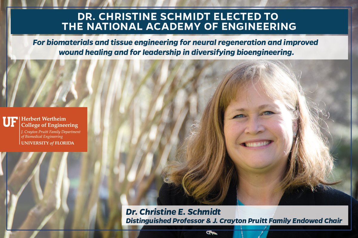 UFBME's tweet image. Cheers for Dr. Christine Schmidt's election to the National Academy of Engineering (@theNAEng), one of the most esteemed honors in the field! The achievement highlights Dr. Schmidt's dedication to innovation &amp;amp; profound impact on biomaterials &amp;amp; tissue engineering. 🎉@CESchmidt_UF