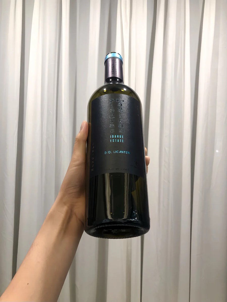 Exploring the symphony of flavors🥂
