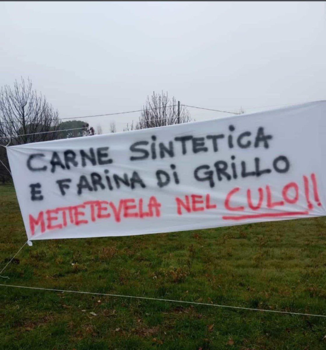Felyorfelix's tweet photo. Finalmente qualcuno con le idee chiare!!!! https://t.co/hi41rrv4jD