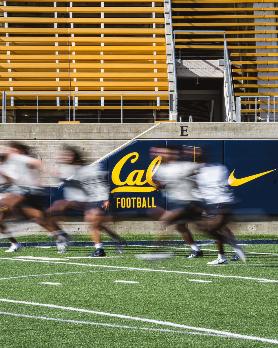 Focused on the process ⚙️ #GoBears | #ALLIN