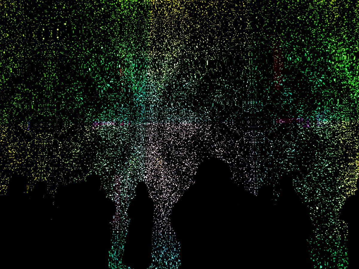 megatherium___'s tweet image. #siaf2024 #札幌国際芸術祭 #intosight #札幌文化芸術交流センター