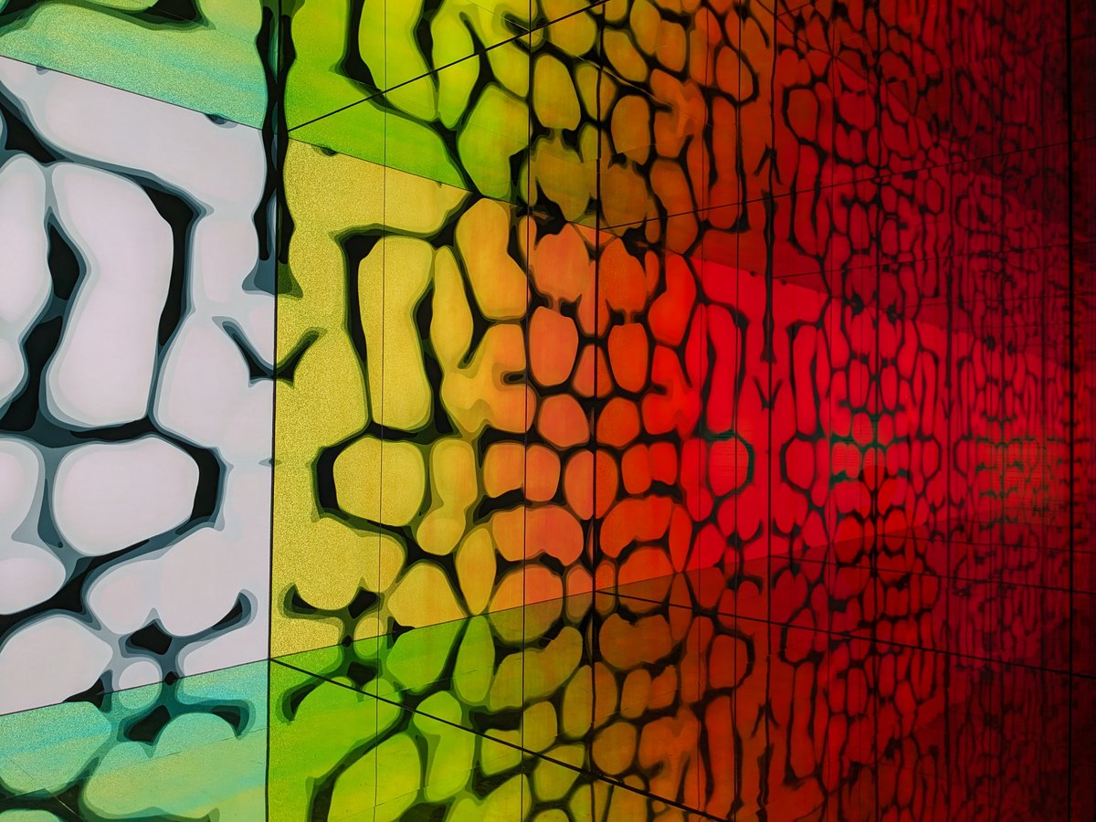 megatherium___'s tweet image. #siaf2024 #札幌国際芸術祭 #intosight #札幌文化芸術交流センター