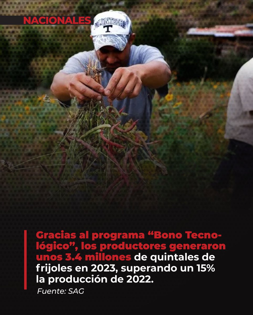 NOTELODICENHND's tweet photo. #NACIONALES 🇭🇳
🧵1/2
¡Ahora podemos comer frijoles sin problemas! 😎
#NTLD #Frijoles #Agricultura #Bonotecnológico #Honduras https://t.co/50QgTa3EZS