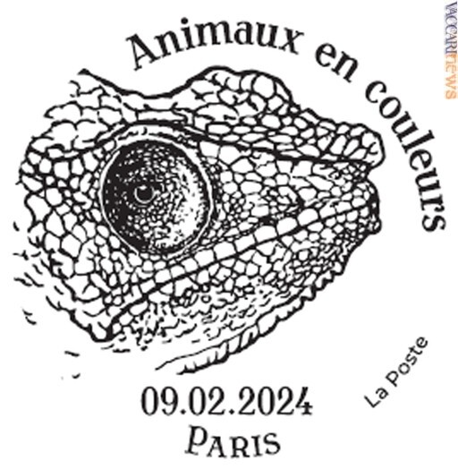 Vaccarinews's tweet photo. #Piume, #mantelli o #scaglie di #animali ripresi in dodici #francobolli di #Francia: https://t.co/KtfyKDgonI https://t.co/UEyTM8MQeT