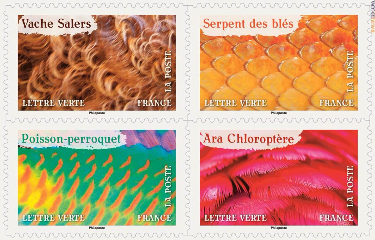 Vaccarinews's tweet photo. #Piume, #mantelli o #scaglie di #animali ripresi in dodici #francobolli di #Francia: https://t.co/KtfyKDgonI https://t.co/UEyTM8MQeT