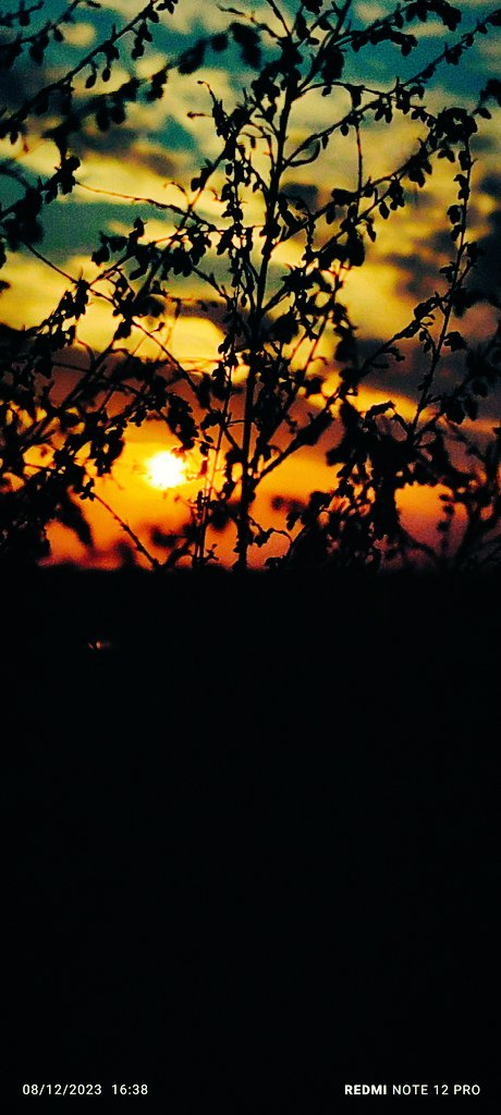 احب السواليف معك 
لاياصابني ضيق ويطيب 
مافي خاطري من كلامك