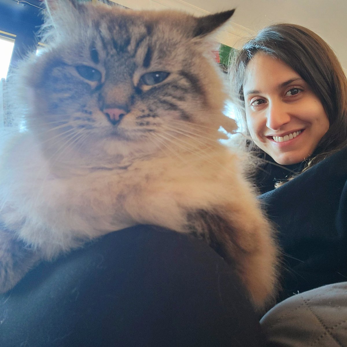 😻