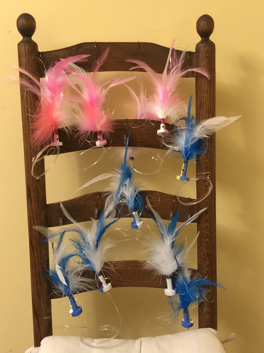 Sailfish season is here rocking the waters