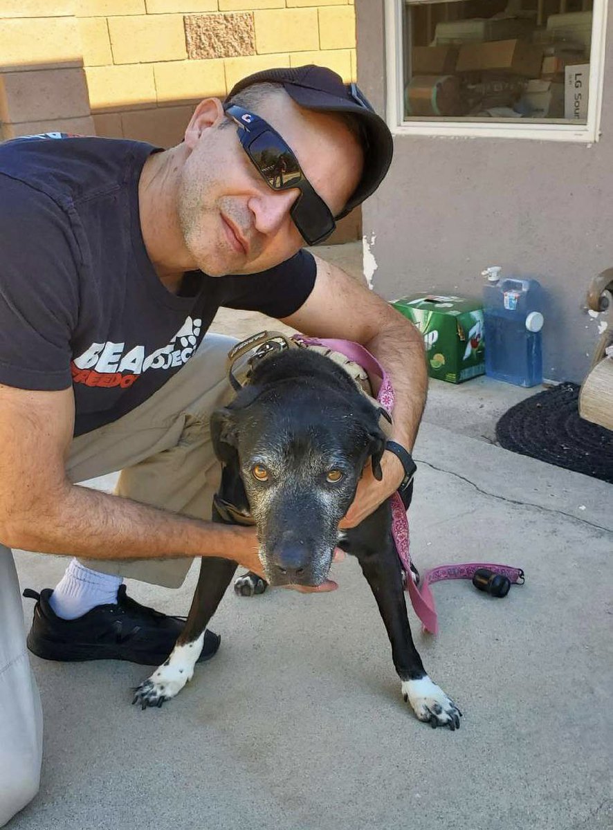 Roberto Cardella tweet media