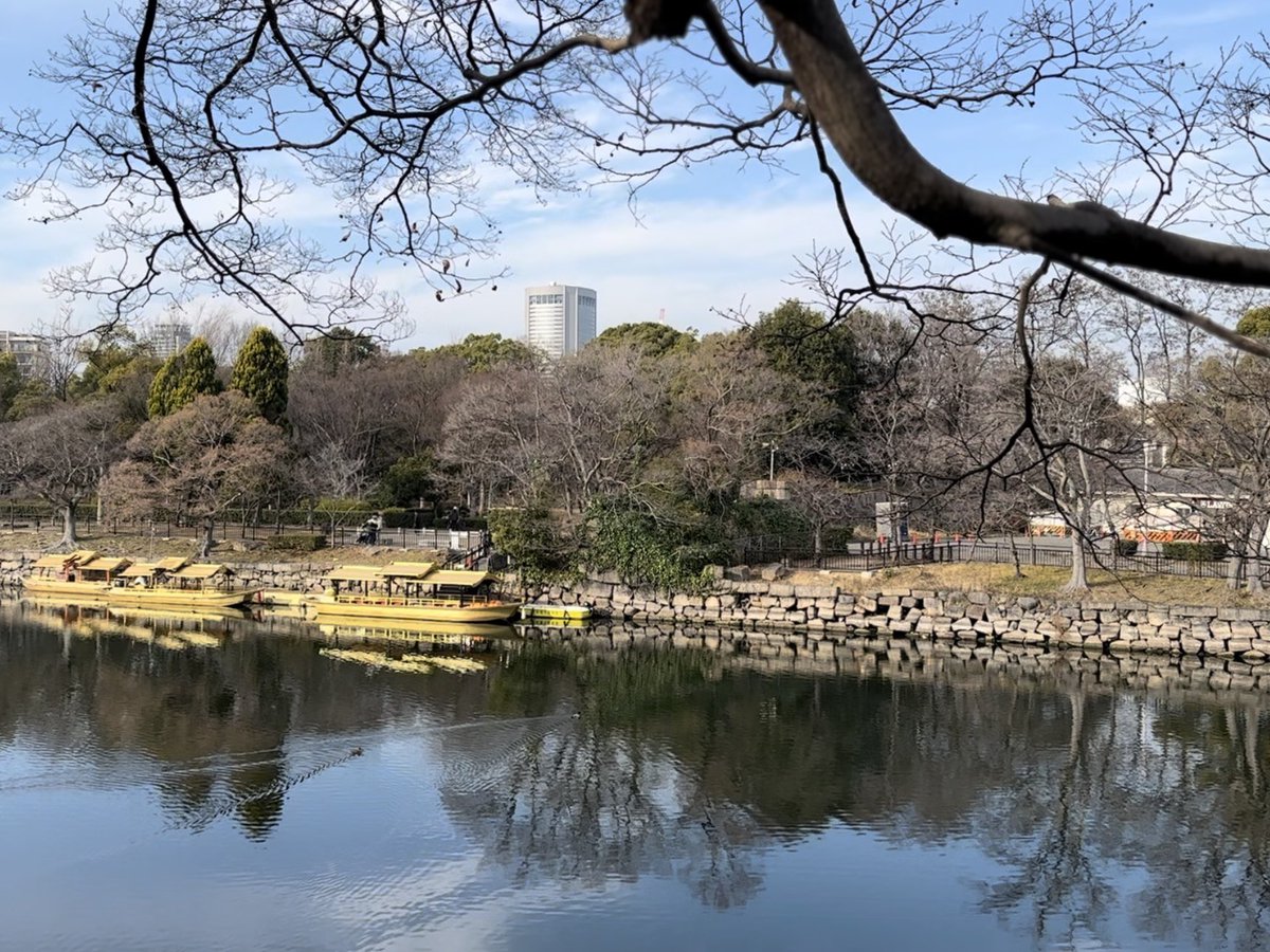 vanBeelife tweet media