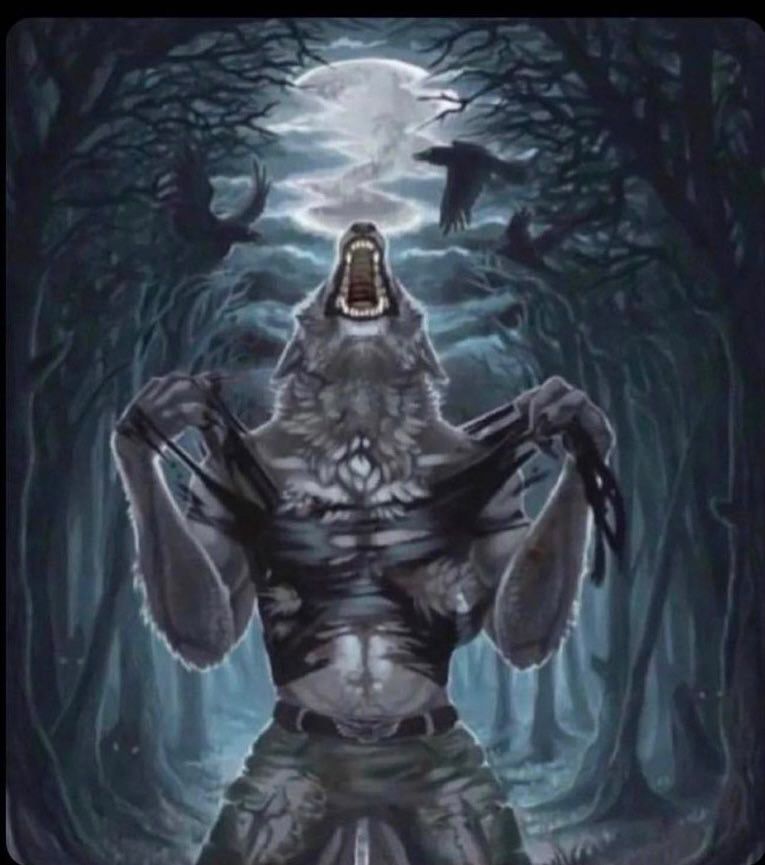 forerolas's tweet photo. yo cuando me enteré q la lobotomia no era una cirugía para convertirme en lobo https://t.co/zW8W2IktrR