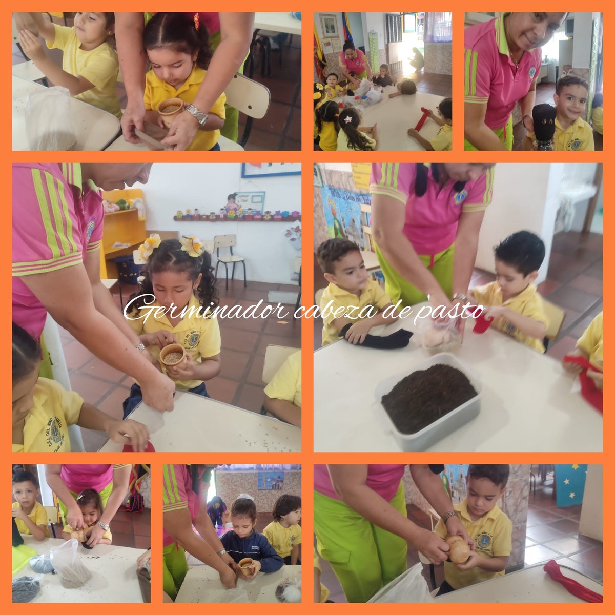 Germinador cabeza de pasto
<a href="/01Ptmstachira/">PTMSTACHIRA</a> 
<a href="/_LaAvanzadora/">Yelitze Santaella</a> 
<a href="/Berzabethg1/">Berzabethgandicaoficial</a> 
<a href="/CDCETachira/">CDCE Táchira</a>