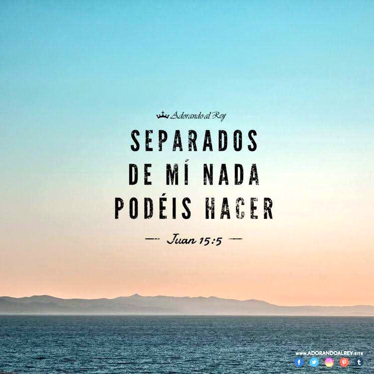 S. Juan 15:5 RVR1960

Yo soy la vid, vosotros los pámpanos; el que permanece en mí, y yo en él, este lleva mucho fruto; porque separados de mí nada podéis hacer.