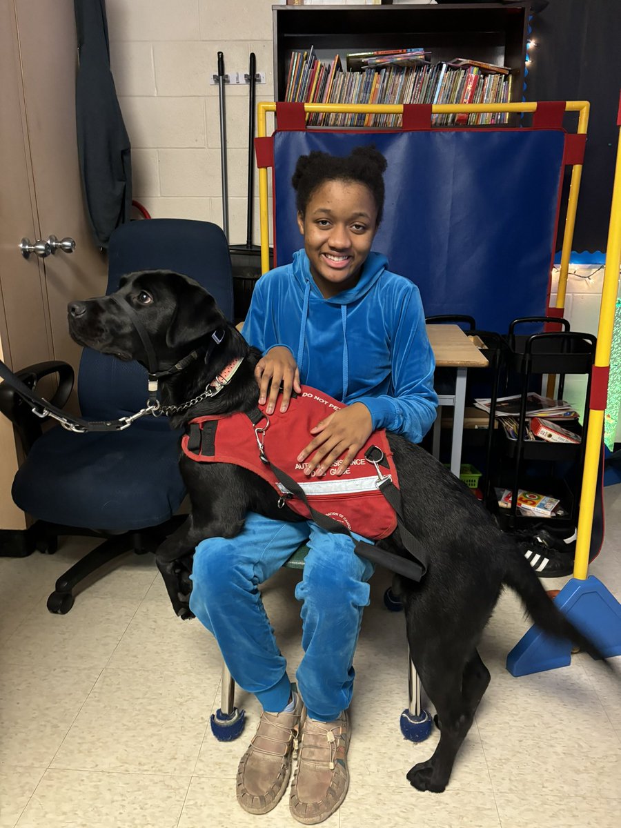 elmotina's tweet photo. Special treat today! classes 678 &amp; 768 had special visitors 🐾🐾We just love when the @LFCDogGuides come and visit our school @CamillaRoad #autismassistantdogintraining  #changinglives https://t.co/vyvFxLX7bS