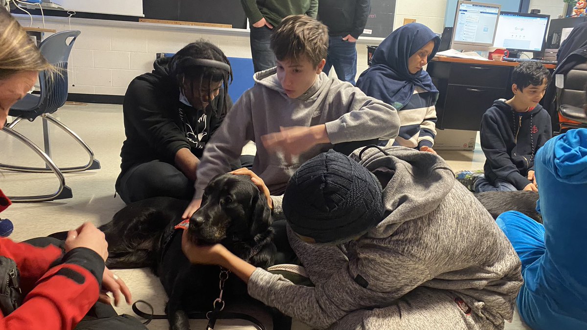 elmotina's tweet photo. Special treat today! classes 678 &amp; 768 had special visitors 🐾🐾We just love when the @LFCDogGuides come and visit our school @CamillaRoad #autismassistantdogintraining  #changinglives https://t.co/vyvFxLX7bS