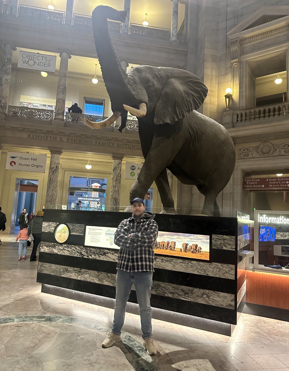 moonmarket's tweet photo. Should I join the $GVSI team? https://t.co/fFdXSUSolJ