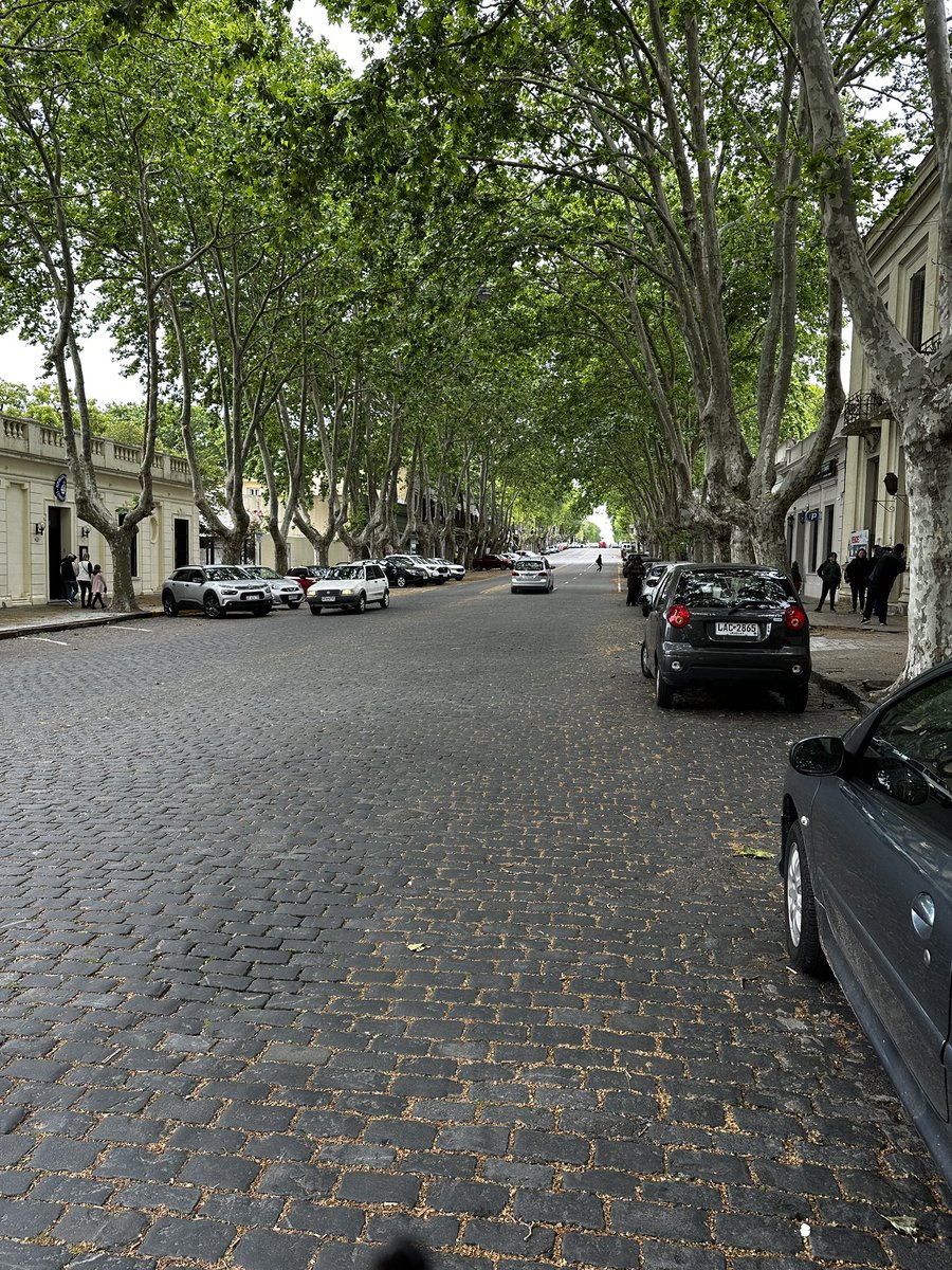juandavidsernav's tweet photo. @Nostrabamu5 Colonia del Sacramento, Uruguay. https://t.co/4mH4TUXOTb