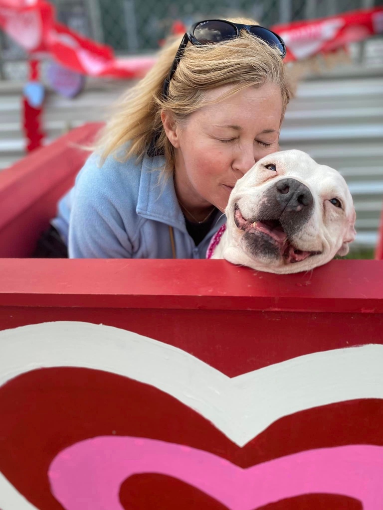 austinanimals's tweet photo. We'll stop posting Maddie when she stops being so cute! Or preferably, when she and her little brother PJ get adopted together. ⁠They're also available for foster!

Maddie A710104 https://t.co/VwyPMoxWE6
&amp;
PJ A866507 https://t.co/fgW0eIyyT3 https://t.co/ZPz50mlz7G