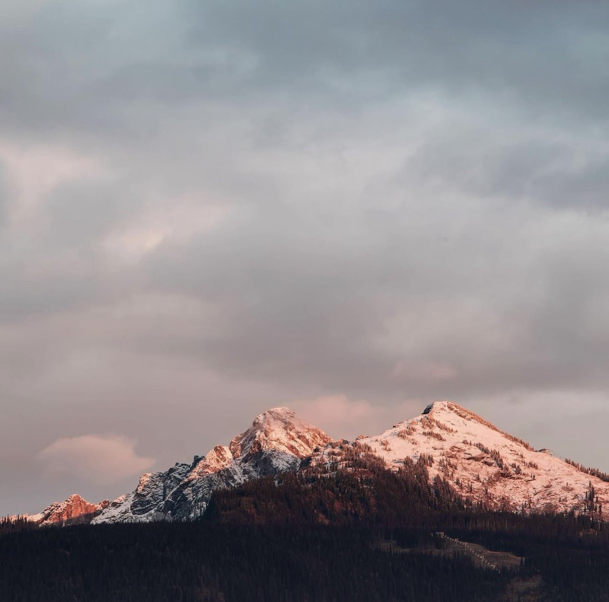 OKGN collections currently inspired by....⁠
⁠
📷️: @roycesihlisphoto