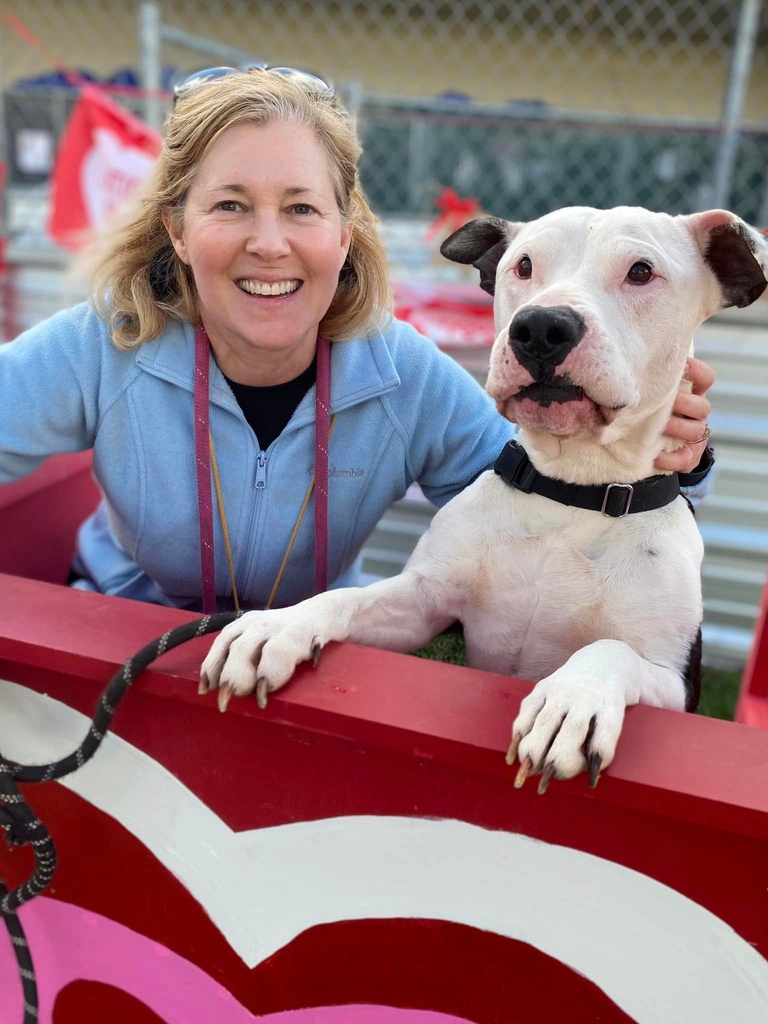 austinanimals's tweet photo. We'll stop posting Maddie when she stops being so cute! Or preferably, when she and her little brother PJ get adopted together. ⁠They're also available for foster!

Maddie A710104 https://t.co/VwyPMoxWE6
&amp;
PJ A866507 https://t.co/fgW0eIyyT3 https://t.co/ZPz50mlz7G