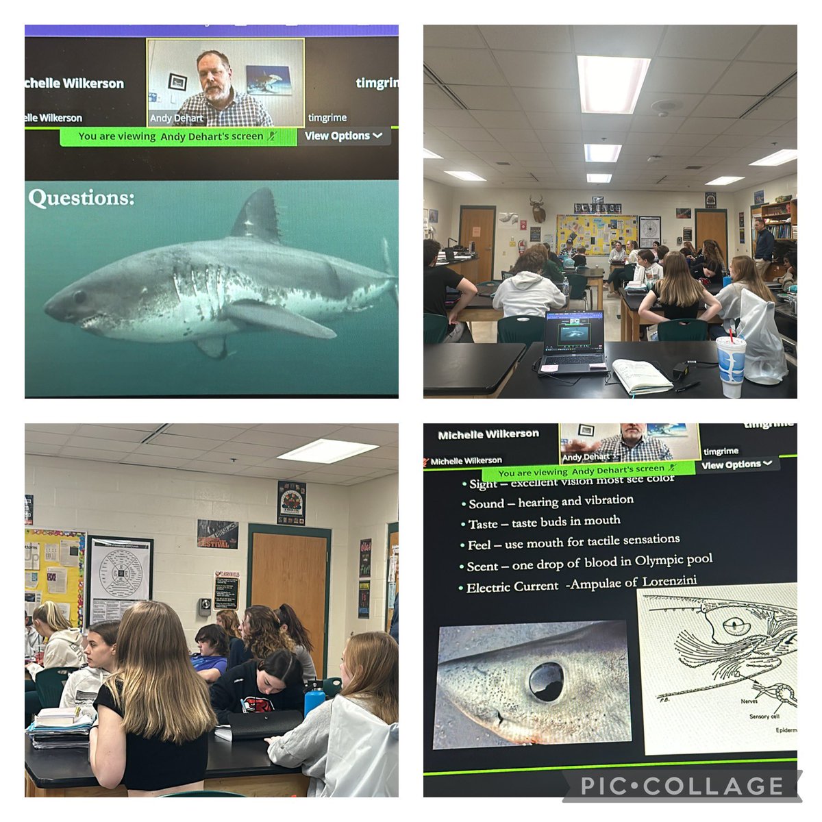 An awesome day in <a href="/timgrimes24/">Tim Grimes</a> Zoology class with guest speaker Andy Dehart from <a href="/LoggerheadMC/">Loggerhead Marinelife Center</a> learning about shark life and turtle rescue. 🦈 🐢 #wearelakota #theeastway <a href="/InspireLakota/">Team Inspire Lakota</a>