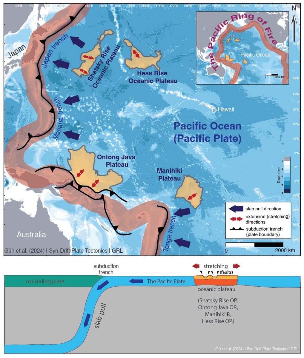 Erkan Gün tweet media