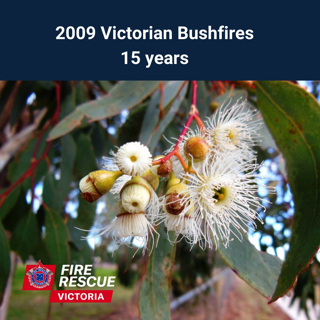 Fire Rescue Victoria tweet media