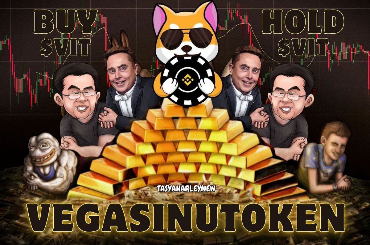 MycoleGonz's tweet photo. @CryptoZeusYT #VegasInuToken #HighRollers $VIT #VegasInu 🫡💯🔥 #DDnation #ViToshi https://t.co/Parj36tkHO