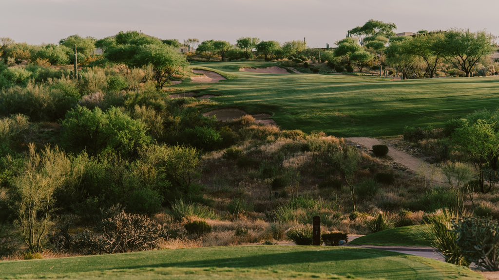 Fried Egg Golf tweet media