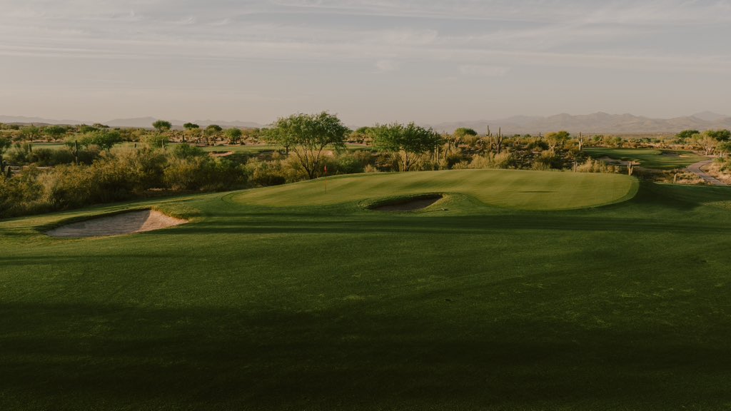 Fried Egg Golf tweet media