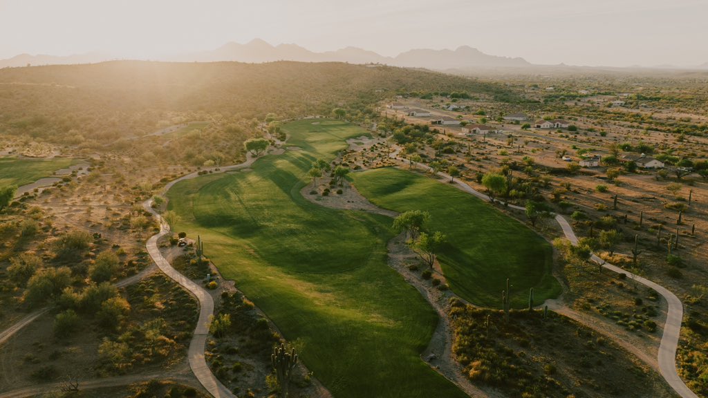 Fried Egg Golf tweet media