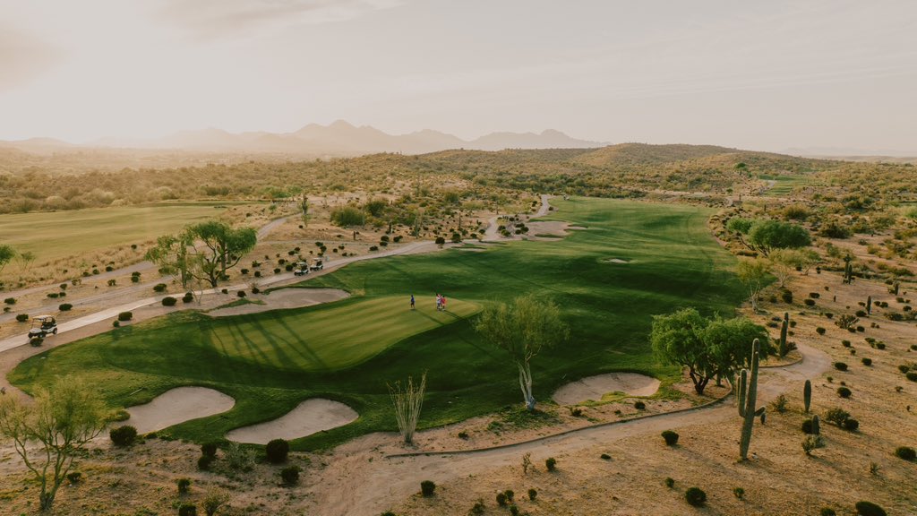 Fried Egg Golf tweet media