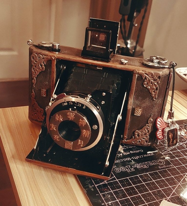 _carr0ts's tweet photo. okay camera obscura commission is actually finished now lol. i added a few extra little extras to it. im rlly happy with how it turned out! #零 https://t.co/DYGMcTHg4v