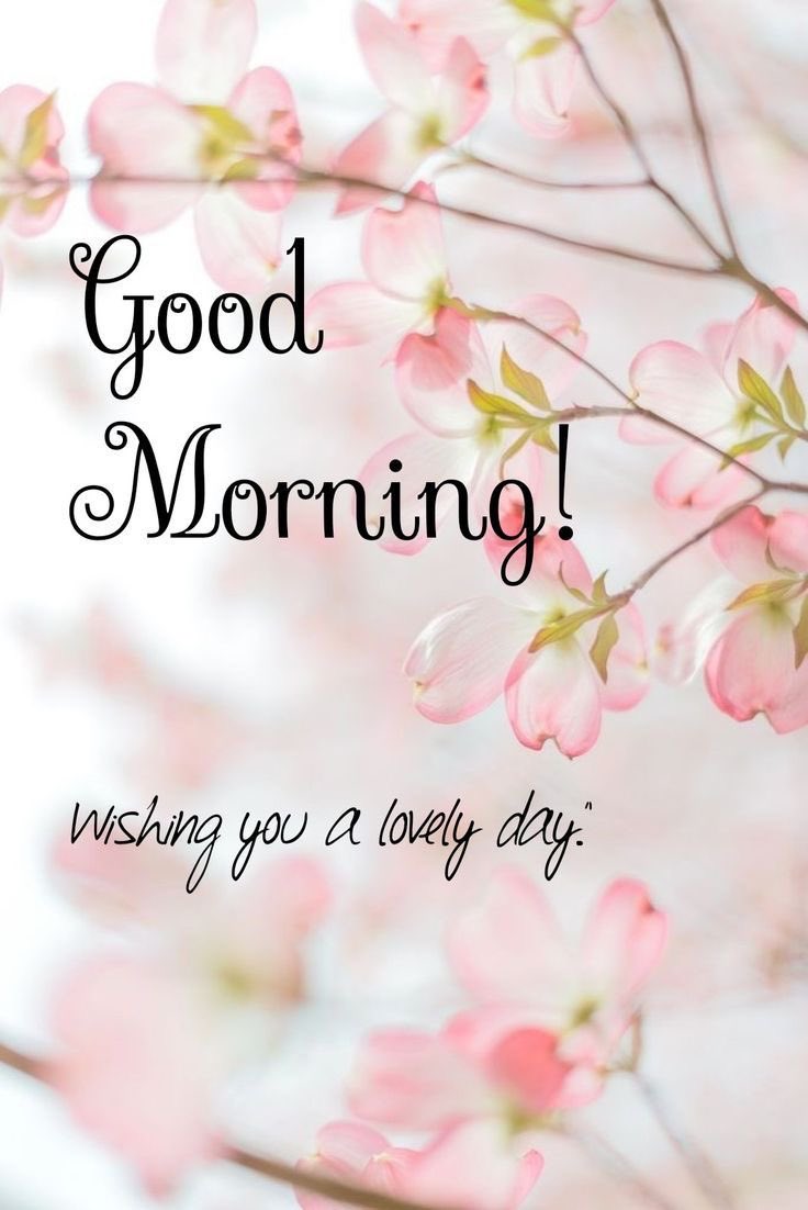 Ayesha Khan tweet media