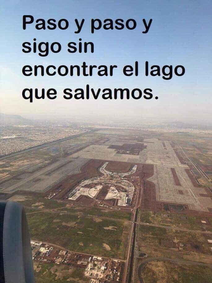 PaVa (@pava_mx) on Twitter photo 