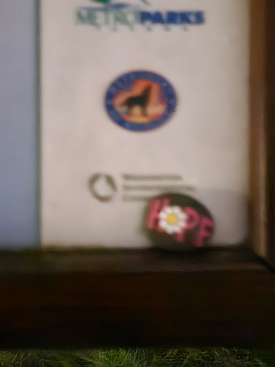 4circusmonkeys's tweet photo. Thank you to all the rogue monkeys, my family has had an absolute blast so far this year #monkeyshines2024
Not sure who's work (possibly MudMonkey? GHmonkeyshiner?) they all are but thank you.🥰 https://t.co/6vDY3EjKC4