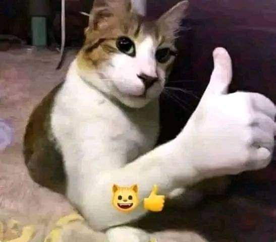 NotSimplePers0n's tweet image. Tengo canal de dibujos de Telegram qn guste pasele
t.me/CryptidCult