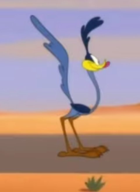 Road_Runner1949's tweet photo. Day 681 BEEP BEEP Come get me Wile.

 #RoadRunnerLooneyTunes
#LooneyTunesRoadRunner
#Road_Runner1949
#daily
#Day681
#DailyDoseofRoadRunner
#DailyDose
@Road_Runner1949 https://t.co/mwCcJfEJYQ