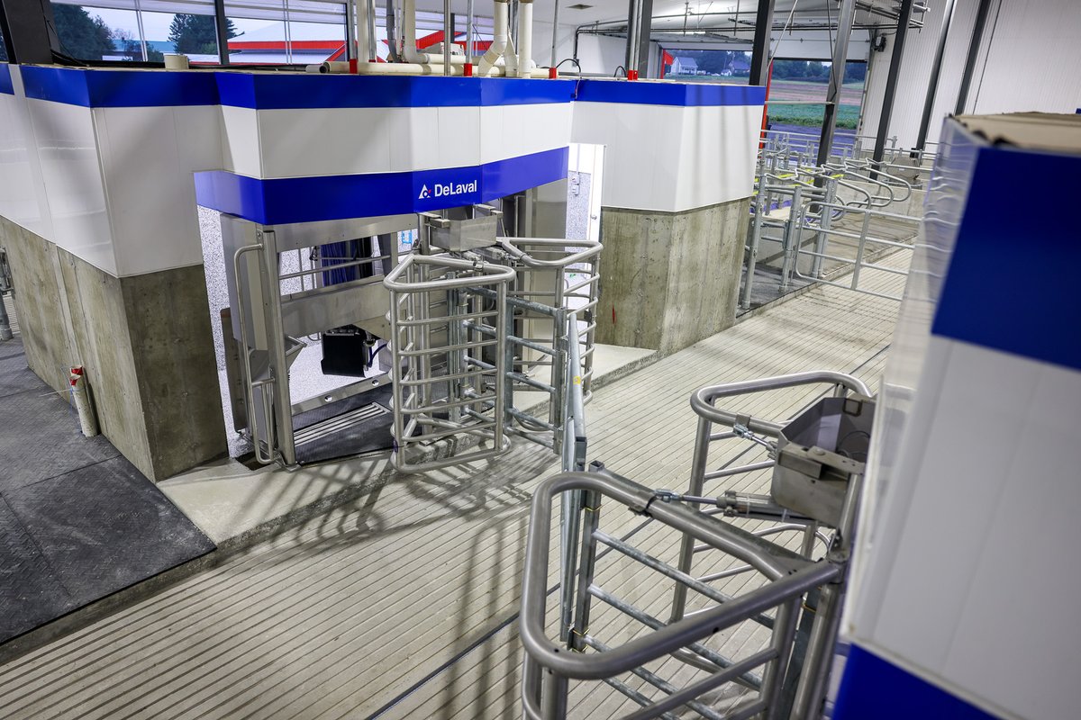 "It's unbelievable, I'd never put in a robot without the V310, without the progesterone tester. It's worth it's weight in gold." - Thomas Robinson, PEI, Canada. 

Hear from farmers from across North America about their experiences with VMS: bit.ly/3ur5jRu 

#WeLiveMilk