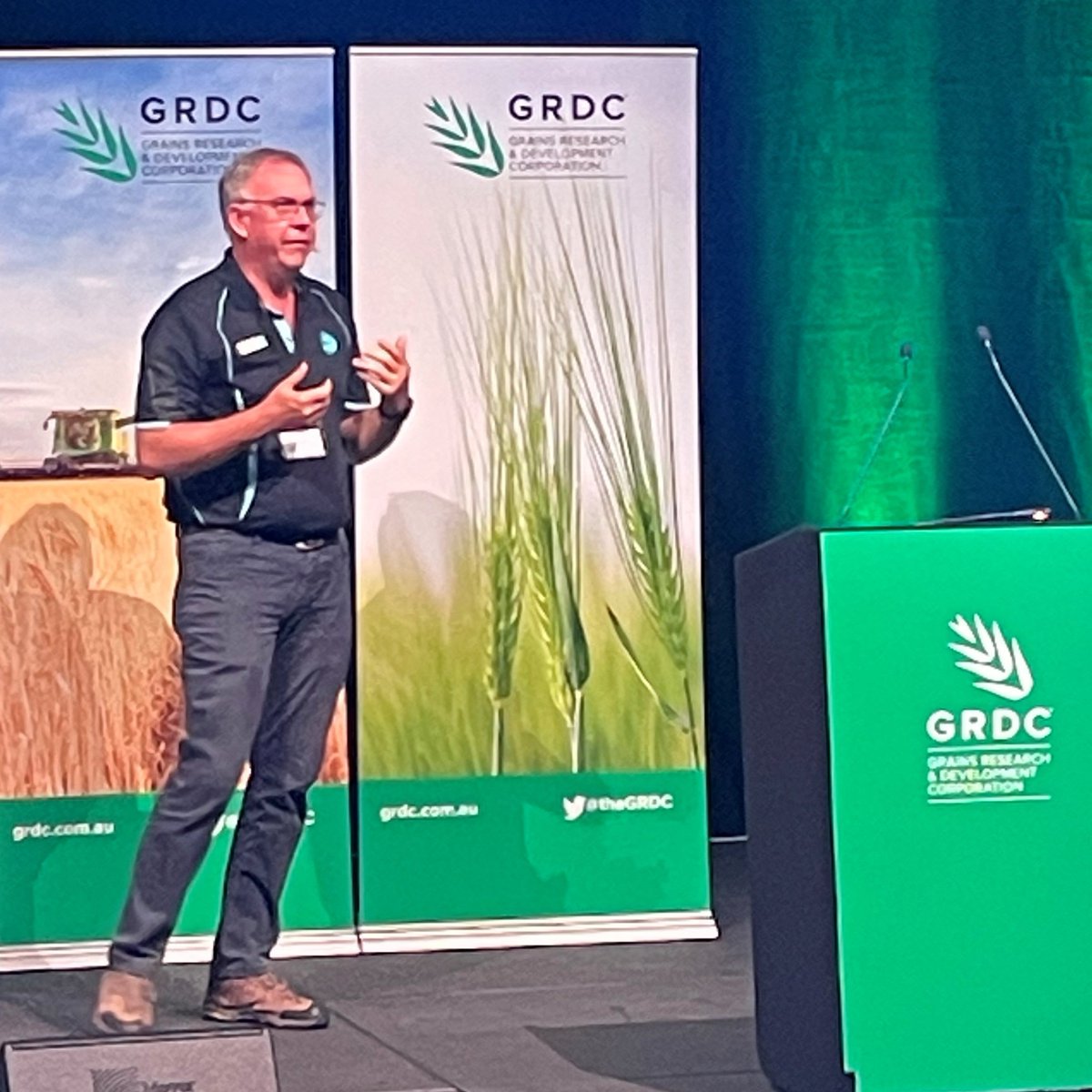 Steve Henry @MouseAlert outlines them importance of background food when implementing mouse baiting strategies - Adelaide #GRDCUpdates bitly.ws/3bjGj