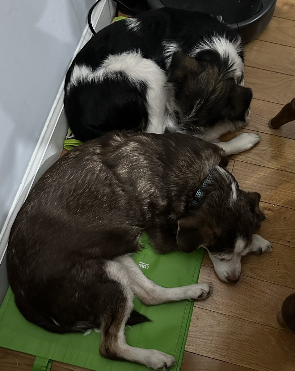 Michelle Crabill tweet media