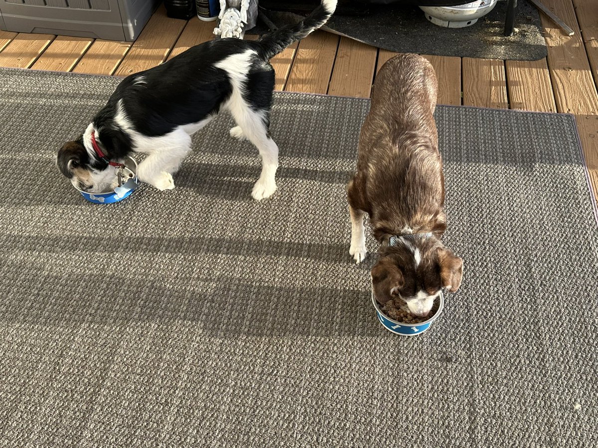 Michelle Crabill tweet media