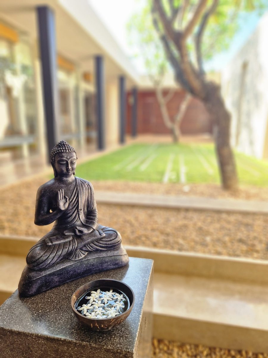 DigitalBijal's tweet photo. How often do you reflect  on your life ? Once in a year ? Once in 5 years ? A decade ? How does it help? Good Morning World. Peace and prosperity 🙏❣️ https://t.co/tsgnfhseIq